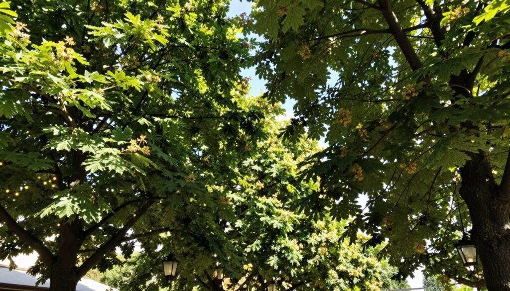Chestnut trees providing shade in beer garden